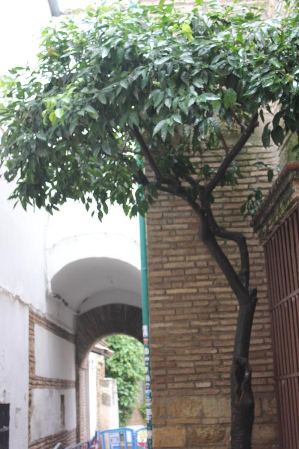 Loft Turistico En Casco Historico, Wifi Y Tv Satelite Gratis Córdoba Exterior foto