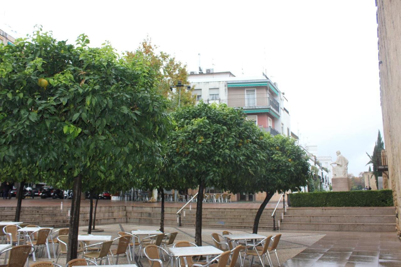 Loft Turistico En Casco Historico, Wifi Y Tv Satelite Gratis Córdoba Exterior foto